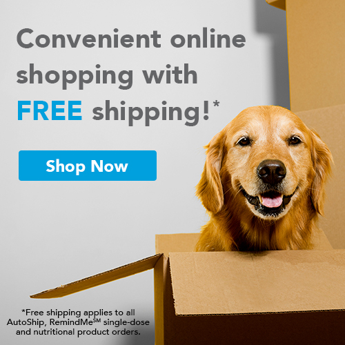 Online Store & Pharmacy in Mountain Home, AR | Twin Lakes Animal Clinic